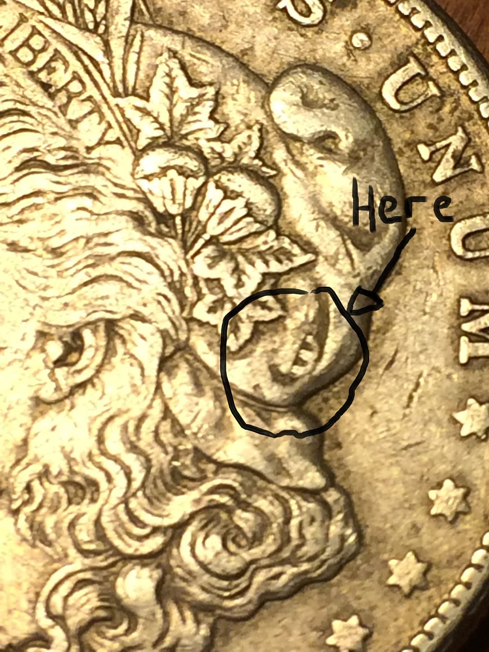 Unusual-3-Or-M--Printed-On-The-Hat--1921-S-Morgan-Silver-Dollar,-Help?